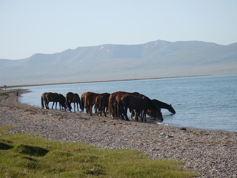 20110716_Song-Kul 010a.JPG